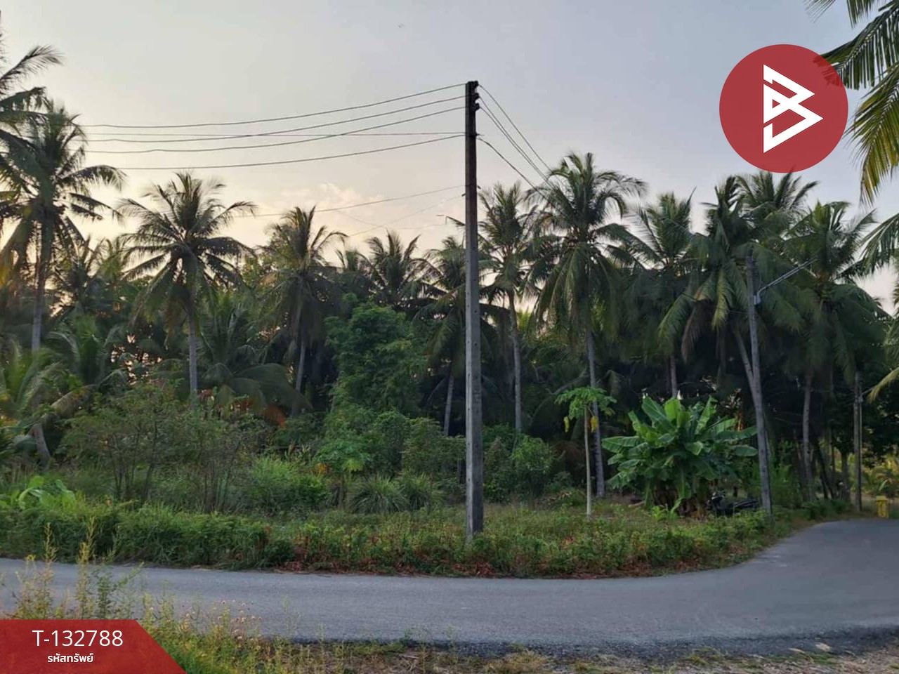 ขายที่ดิน เนื้อที่ 1 งาน 62.0 ตารางวา แหลมสิงห์ จันทบุรี 1