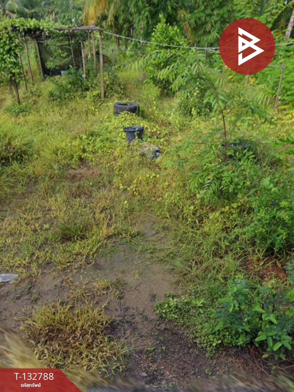 ขายที่ดิน เนื้อที่ 1 งาน 62.0 ตารางวา แหลมสิงห์ จันทบุรี 14