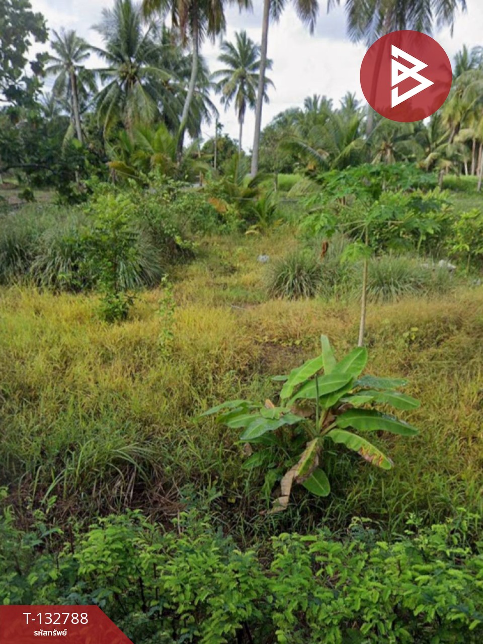 ขายที่ดิน เนื้อที่ 1 งาน 62.0 ตารางวา แหลมสิงห์ จันทบุรี 15