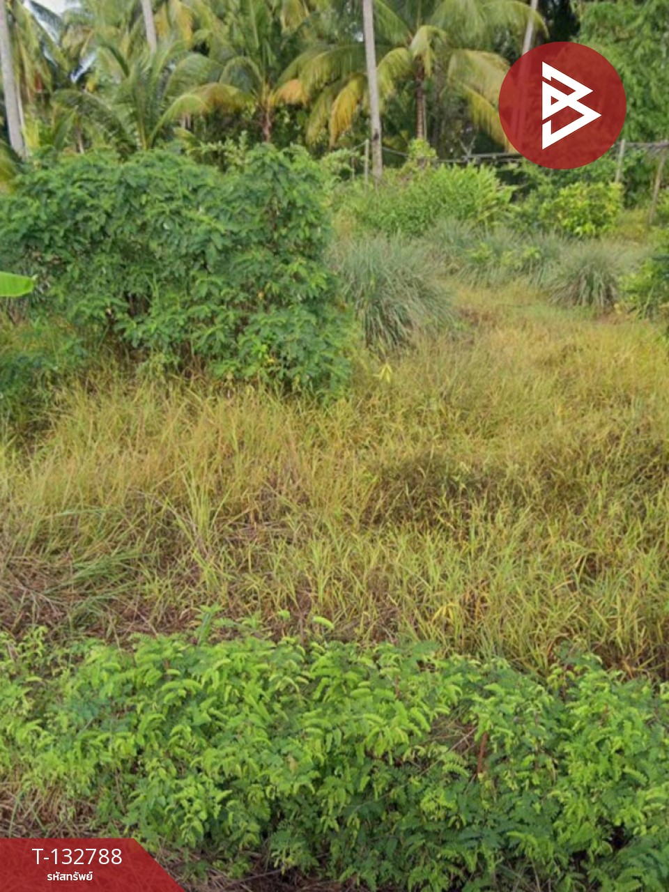 ขายที่ดิน เนื้อที่ 1 งาน 62.0 ตารางวา แหลมสิงห์ จันทบุรี 13