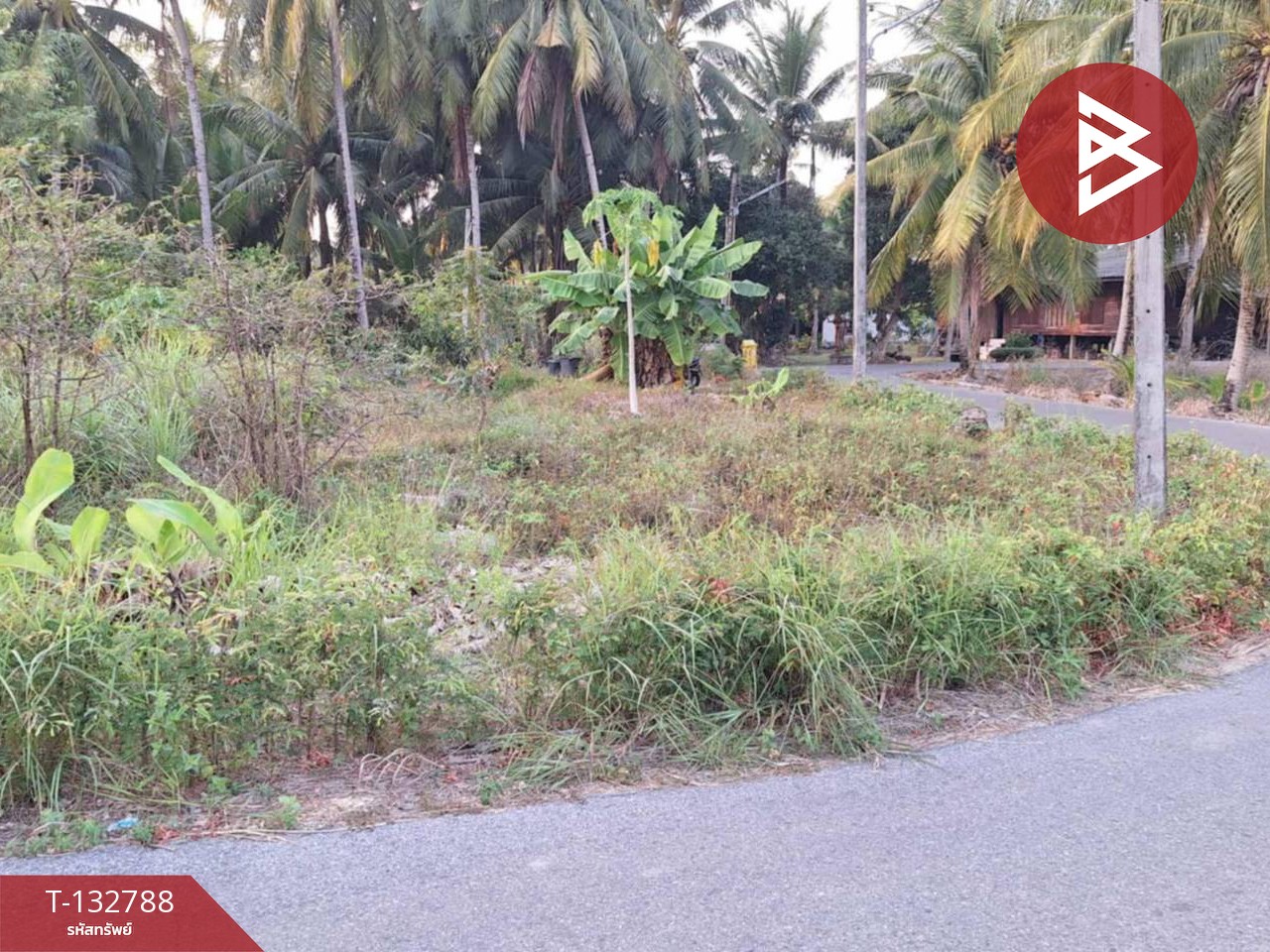 ขายที่ดิน เนื้อที่ 1 งาน 62.0 ตารางวา แหลมสิงห์ จันทบุรี 2