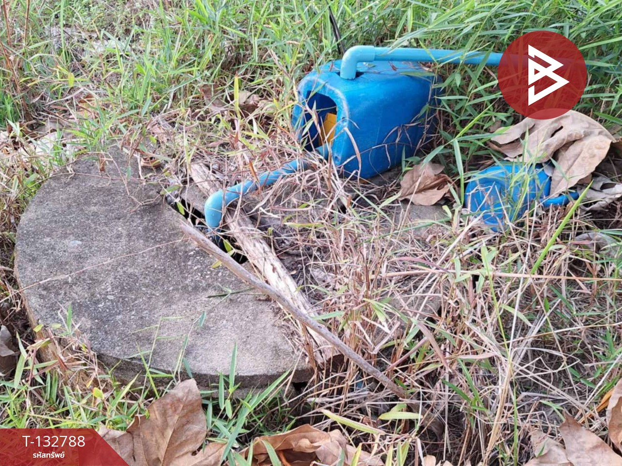 ขายที่ดิน เนื้อที่ 1 งาน 62.0 ตารางวา แหลมสิงห์ จันทบุรี 6