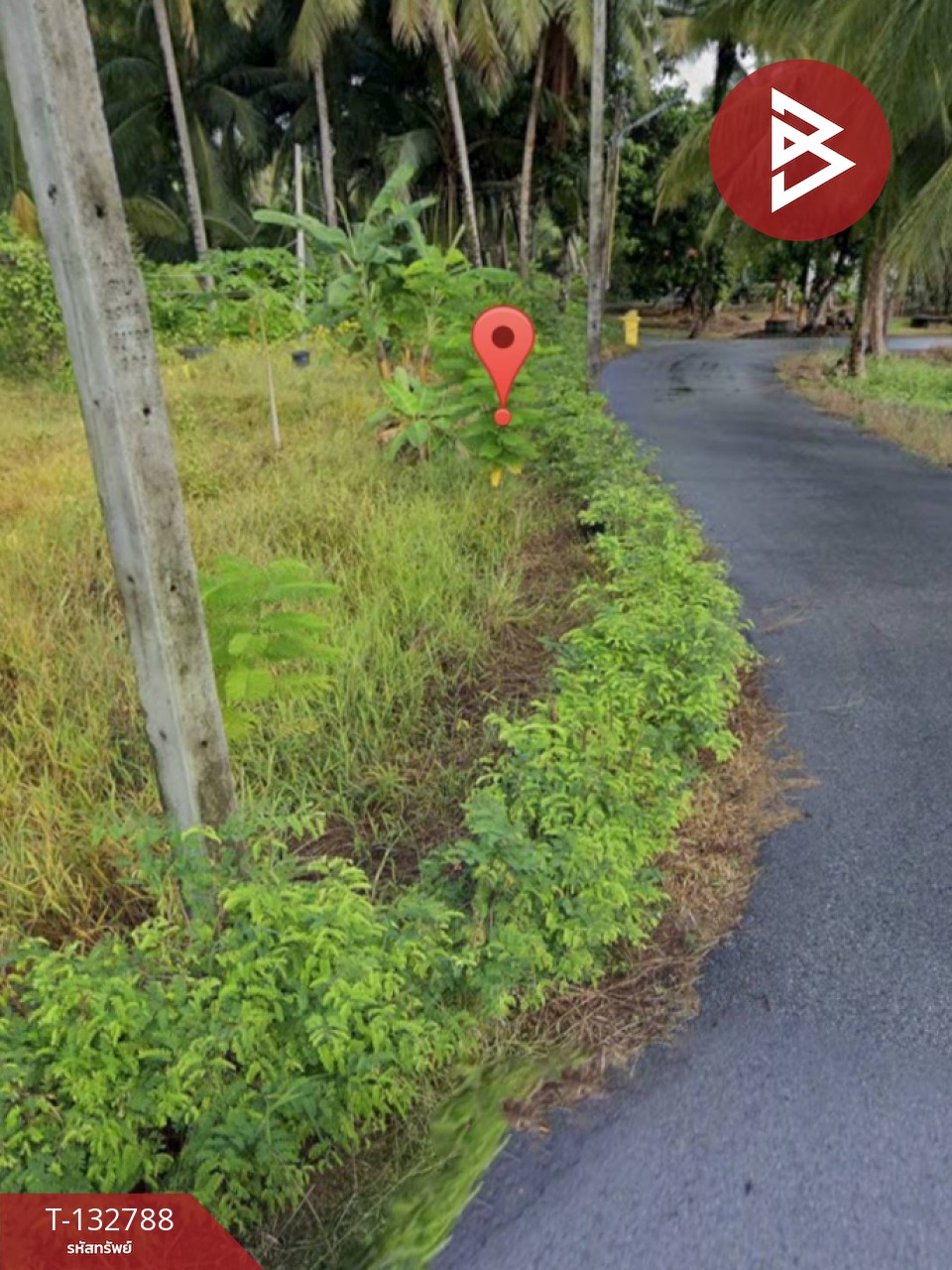 ขายที่ดิน เนื้อที่ 1 งาน 62.0 ตารางวา แหลมสิงห์ จันทบุรี 12