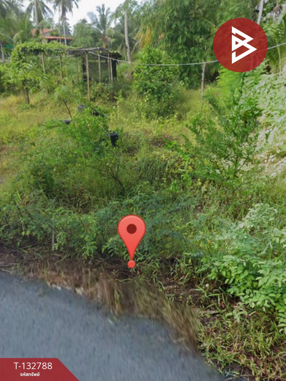 ขายที่ดิน เนื้อที่ 1 งาน 62.0 ตารางวา แหลมสิงห์ จันทบุรี 11