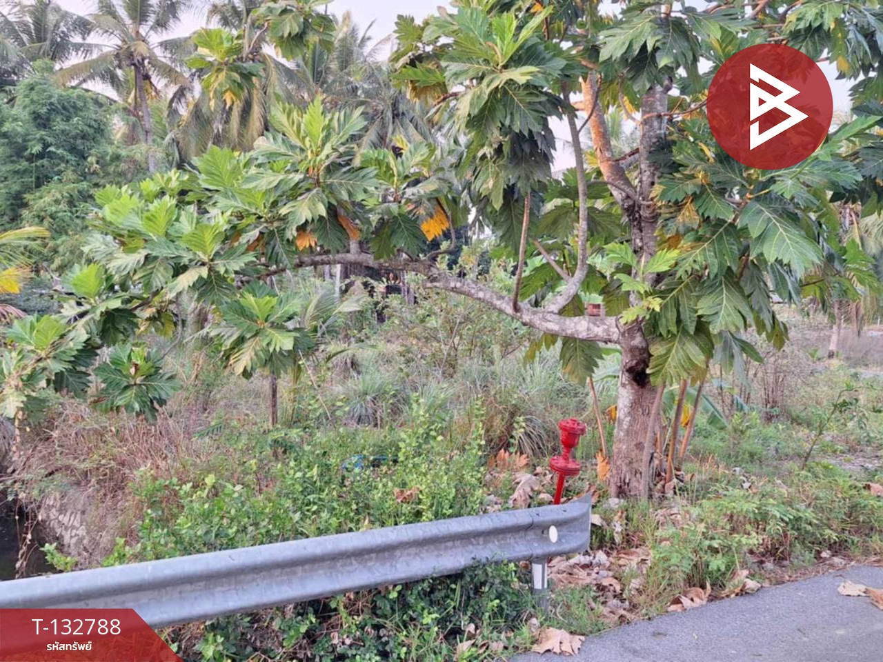 ขายที่ดิน เนื้อที่ 1 งาน 62.0 ตารางวา แหลมสิงห์ จันทบุรี 4