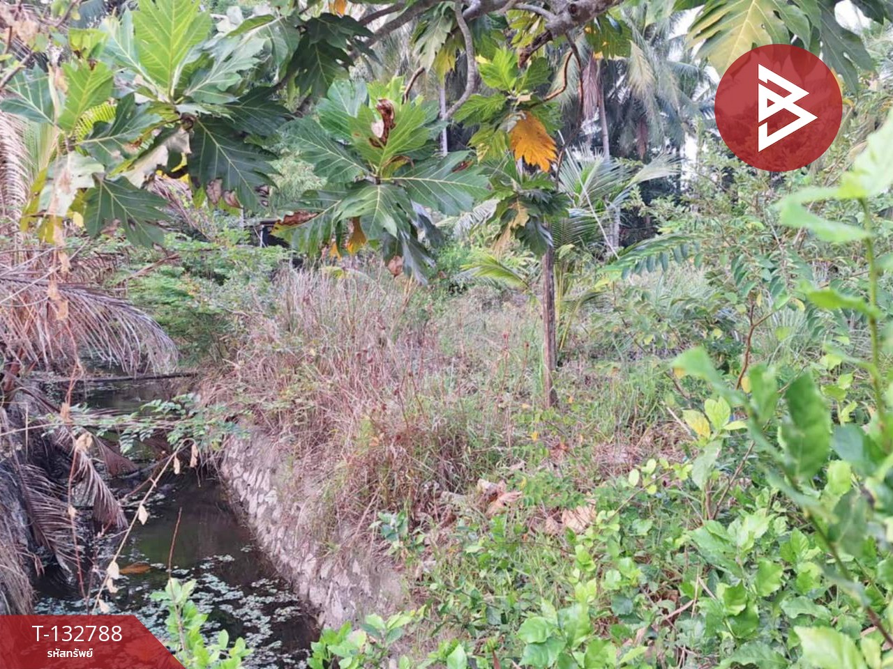 ขายที่ดิน เนื้อที่ 1 งาน 62.0 ตารางวา แหลมสิงห์ จันทบุรี 3