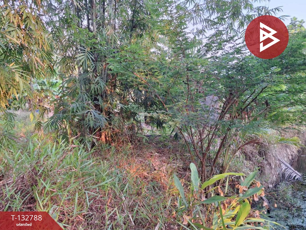 ขายที่ดิน เนื้อที่ 1 งาน 62.0 ตารางวา แหลมสิงห์ จันทบุรี 5