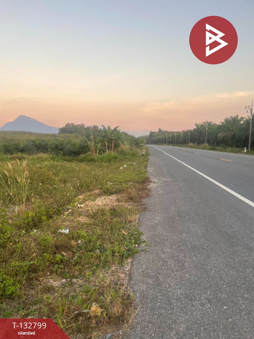 ขายที่ดิน เนื้อที่ 2 ไร่ 2 งาน 3 ตร.วา นาบอน นครศรีธรรมราช 1