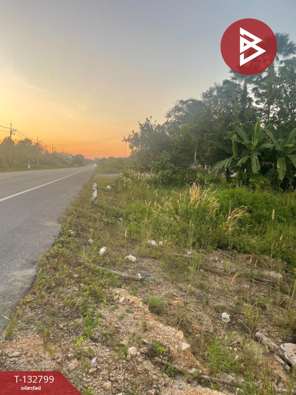 ขายที่ดิน เนื้อที่ 2 ไร่ 2 งาน 3 ตร.วา นาบอน นครศรีธรรมราช 2