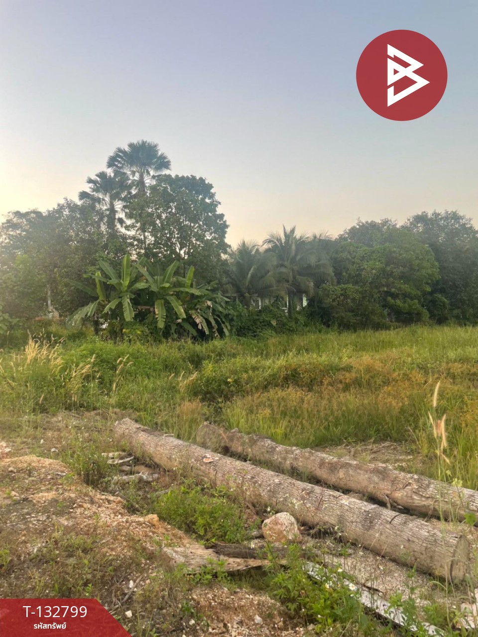 ขายที่ดิน เนื้อที่ 2 ไร่ 2 งาน 3 ตร.วา นาบอน นครศรีธรรมราช 5