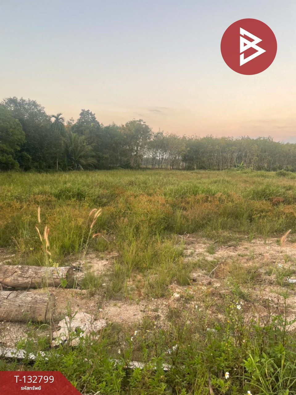 ขายที่ดิน เนื้อที่ 2 ไร่ 2 งาน 3 ตร.วา นาบอน นครศรีธรรมราช 4