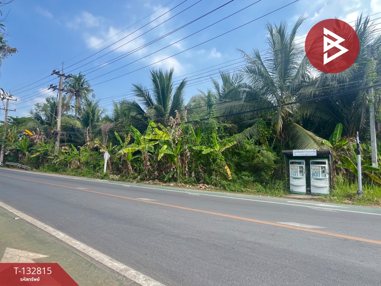 ขายที่ดิน เนื้อที่ 1 ไร่ 3 งาน 28 ตร.วา อัมพวา สมุทรสงคราม 1