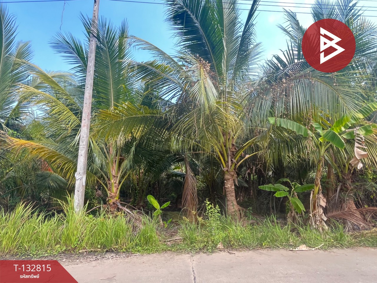 ขายที่ดิน เนื้อที่ 1 ไร่ 3 งาน 28 ตร.วา อัมพวา สมุทรสงคราม 10