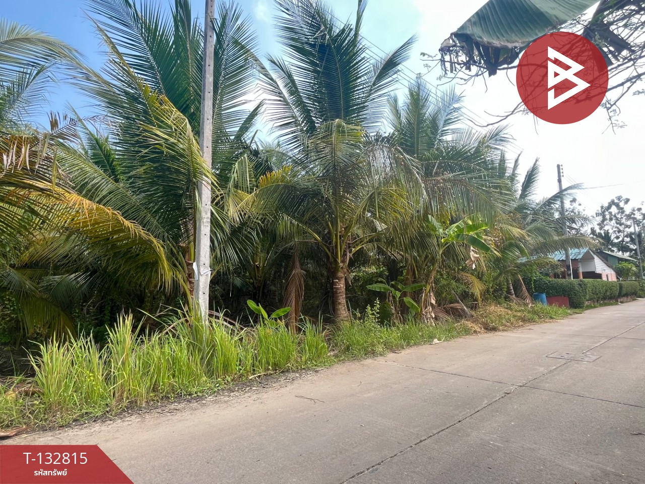 ขายที่ดิน เนื้อที่ 1 ไร่ 3 งาน 28 ตร.วา อัมพวา สมุทรสงคราม 9