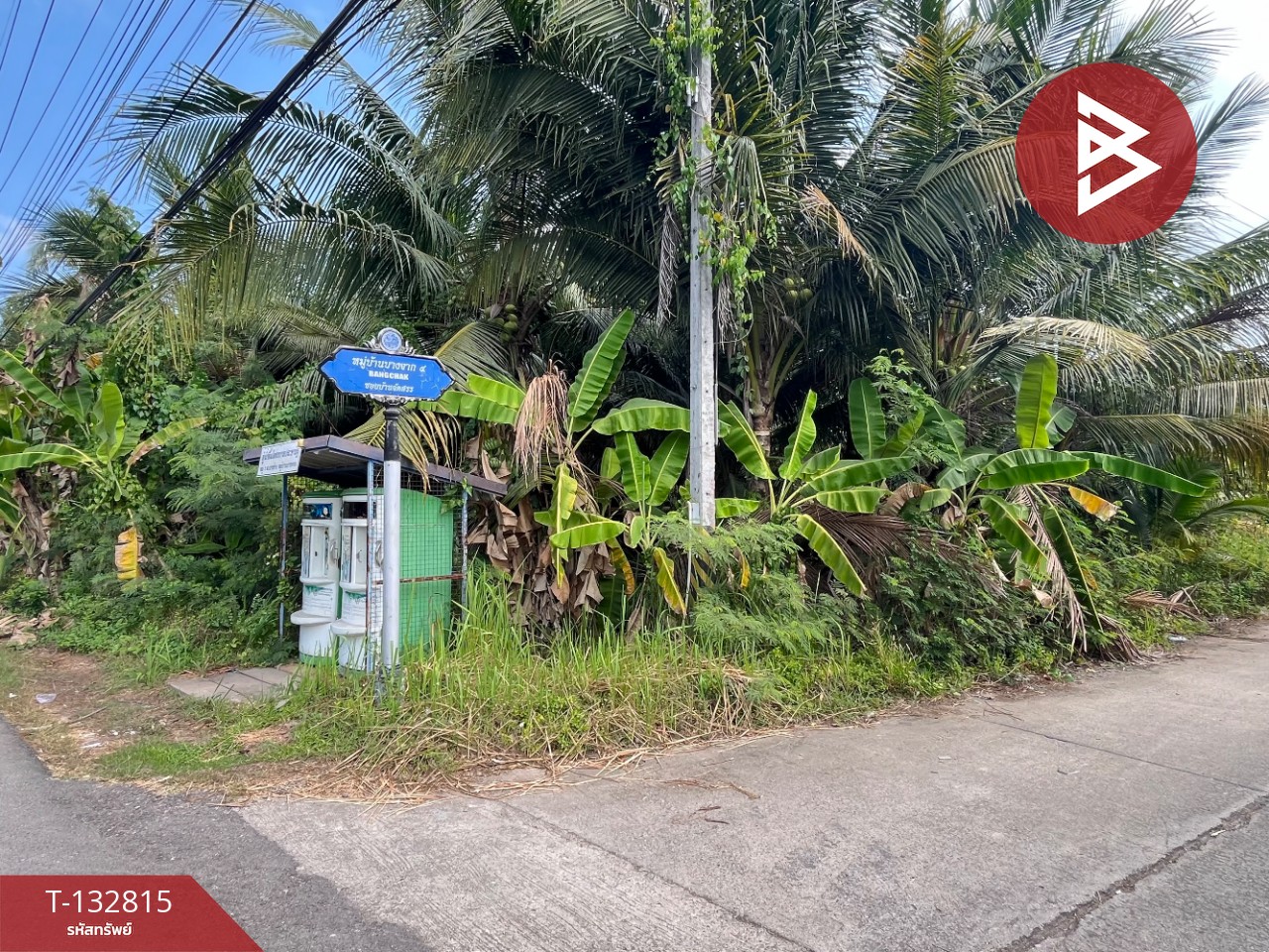 ขายที่ดิน เนื้อที่ 1 ไร่ 3 งาน 28 ตร.วา อัมพวา สมุทรสงคราม 15