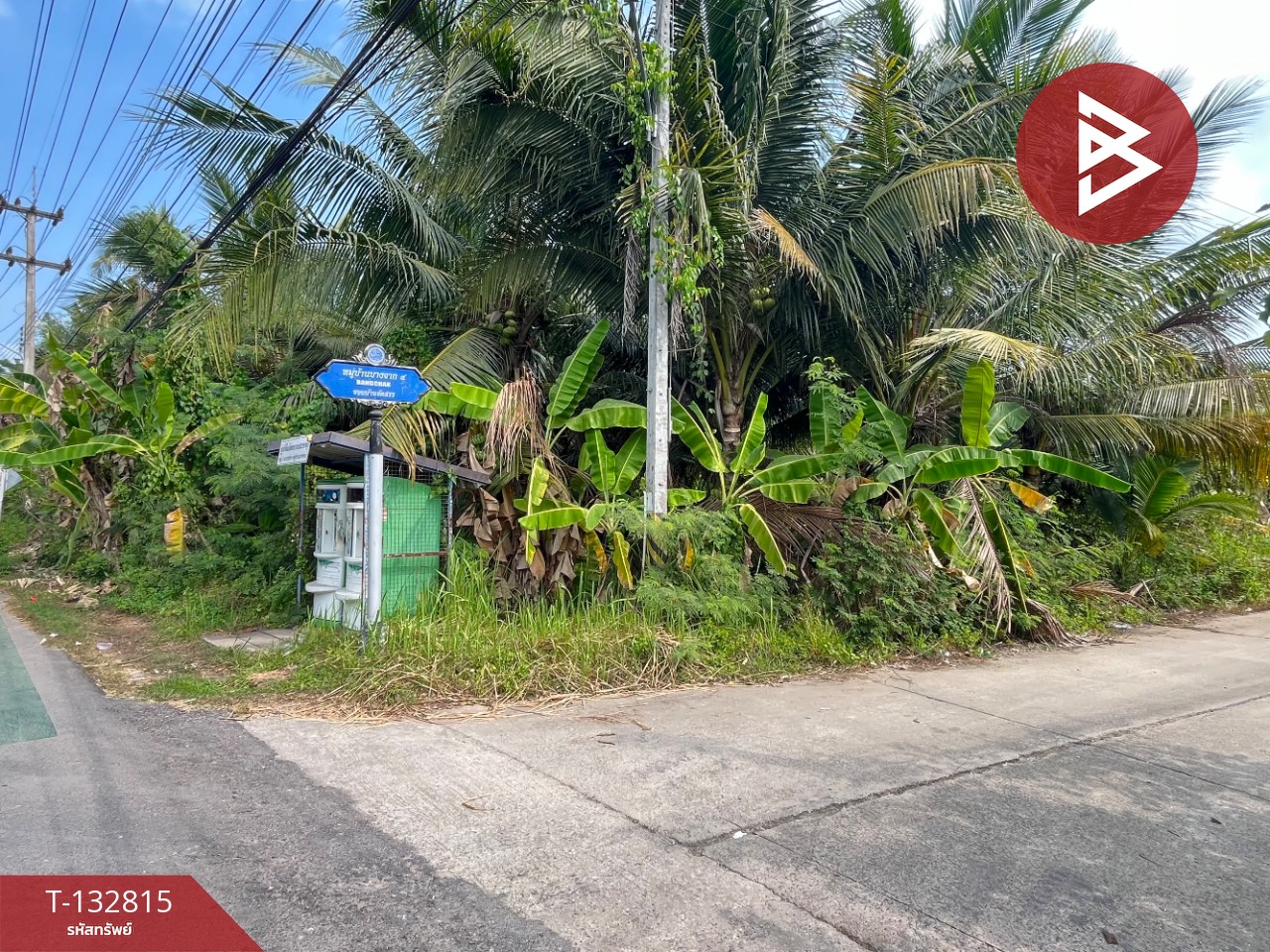 ขายที่ดิน เนื้อที่ 1 ไร่ 3 งาน 28 ตร.วา อัมพวา สมุทรสงคราม 8