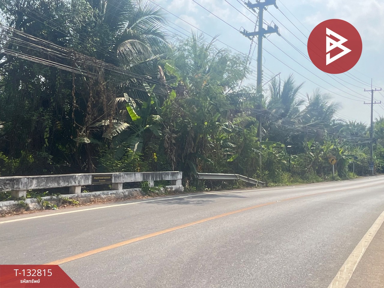 ขายที่ดิน เนื้อที่ 1 ไร่ 3 งาน 28 ตร.วา อัมพวา สมุทรสงคราม 13