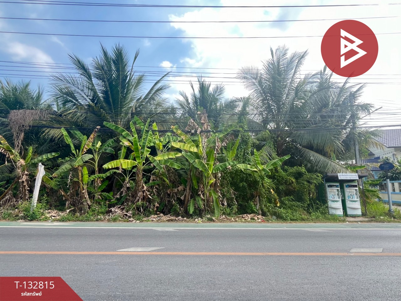 ขายที่ดิน เนื้อที่ 1 ไร่ 3 งาน 28 ตร.วา อัมพวา สมุทรสงคราม 2