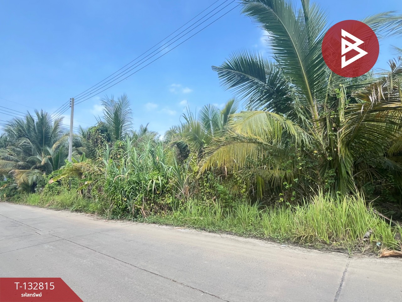 ขายที่ดิน เนื้อที่ 1 ไร่ 3 งาน 28 ตร.วา อัมพวา สมุทรสงคราม 5