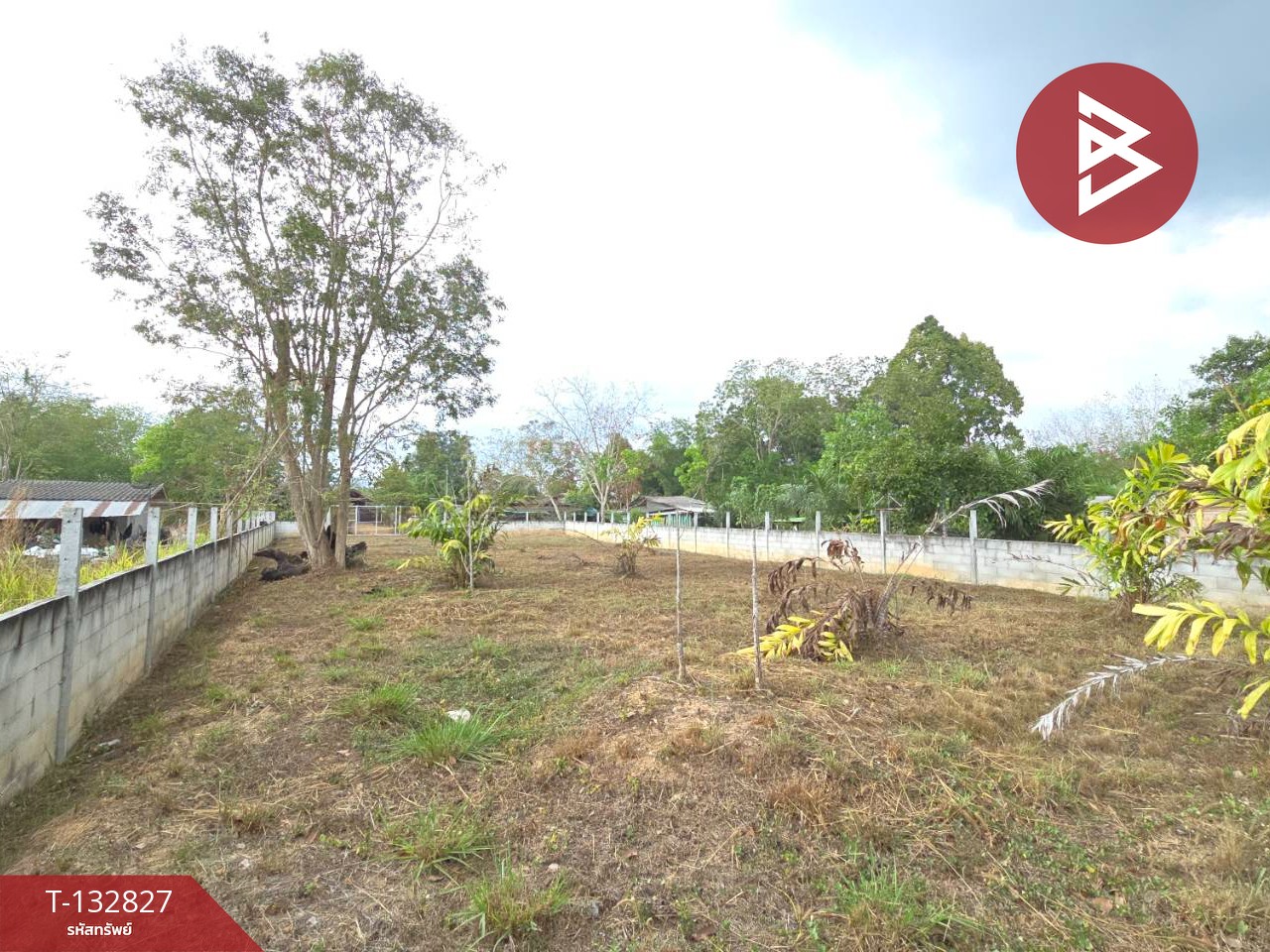 ขายที่ดิน เนื้อที่ 3 งาน หนองบัว บ้านค่าย ระยอง 10