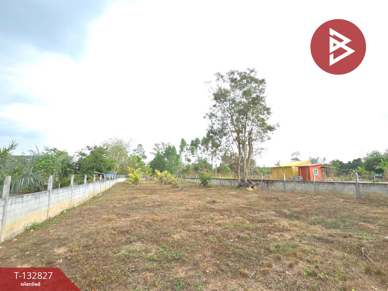 ขายที่ดิน เนื้อที่ 3 งาน หนองบัว บ้านค่าย ระยอง 6