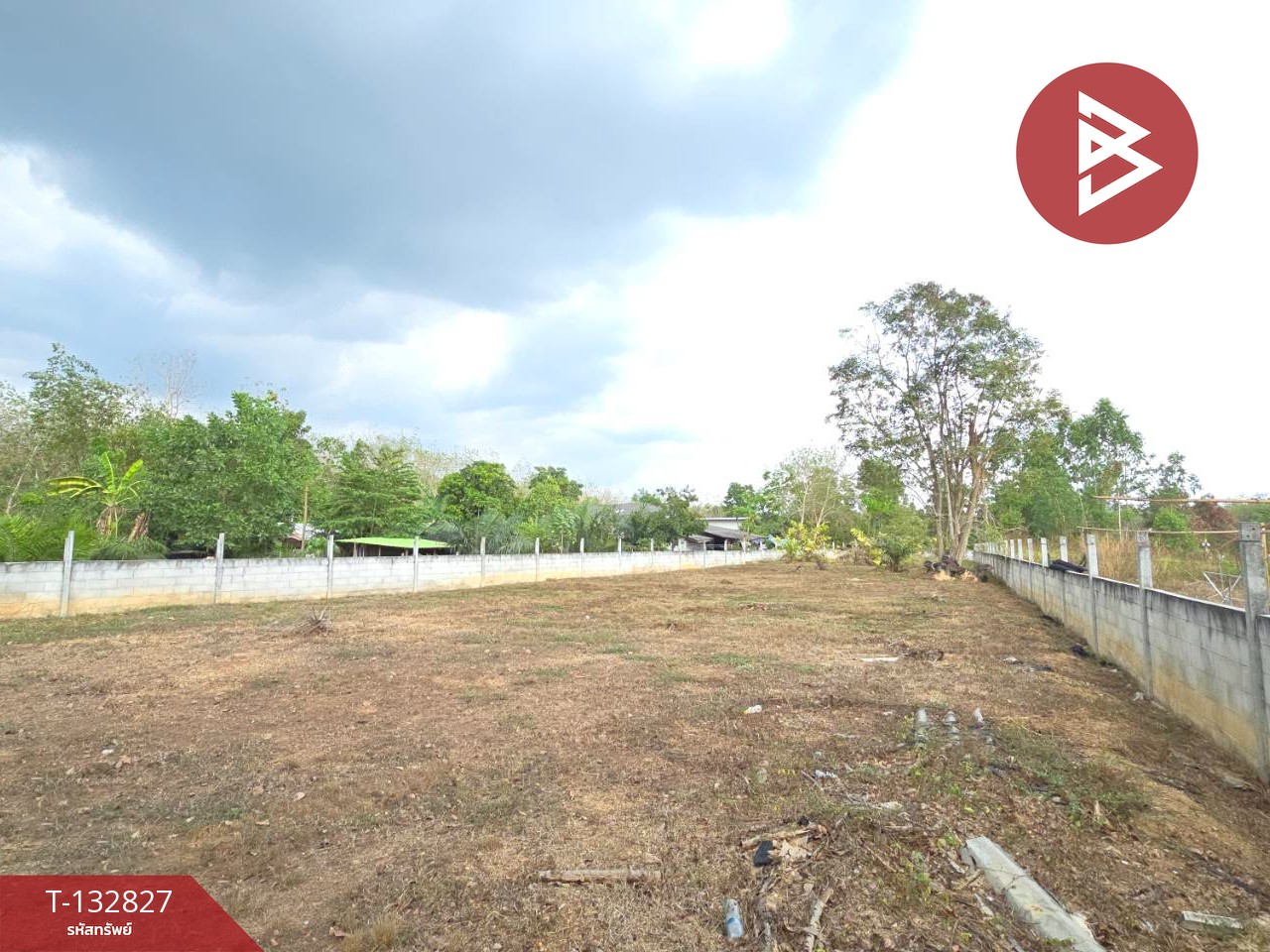 ขายที่ดิน เนื้อที่ 3 งาน หนองบัว บ้านค่าย ระยอง 8