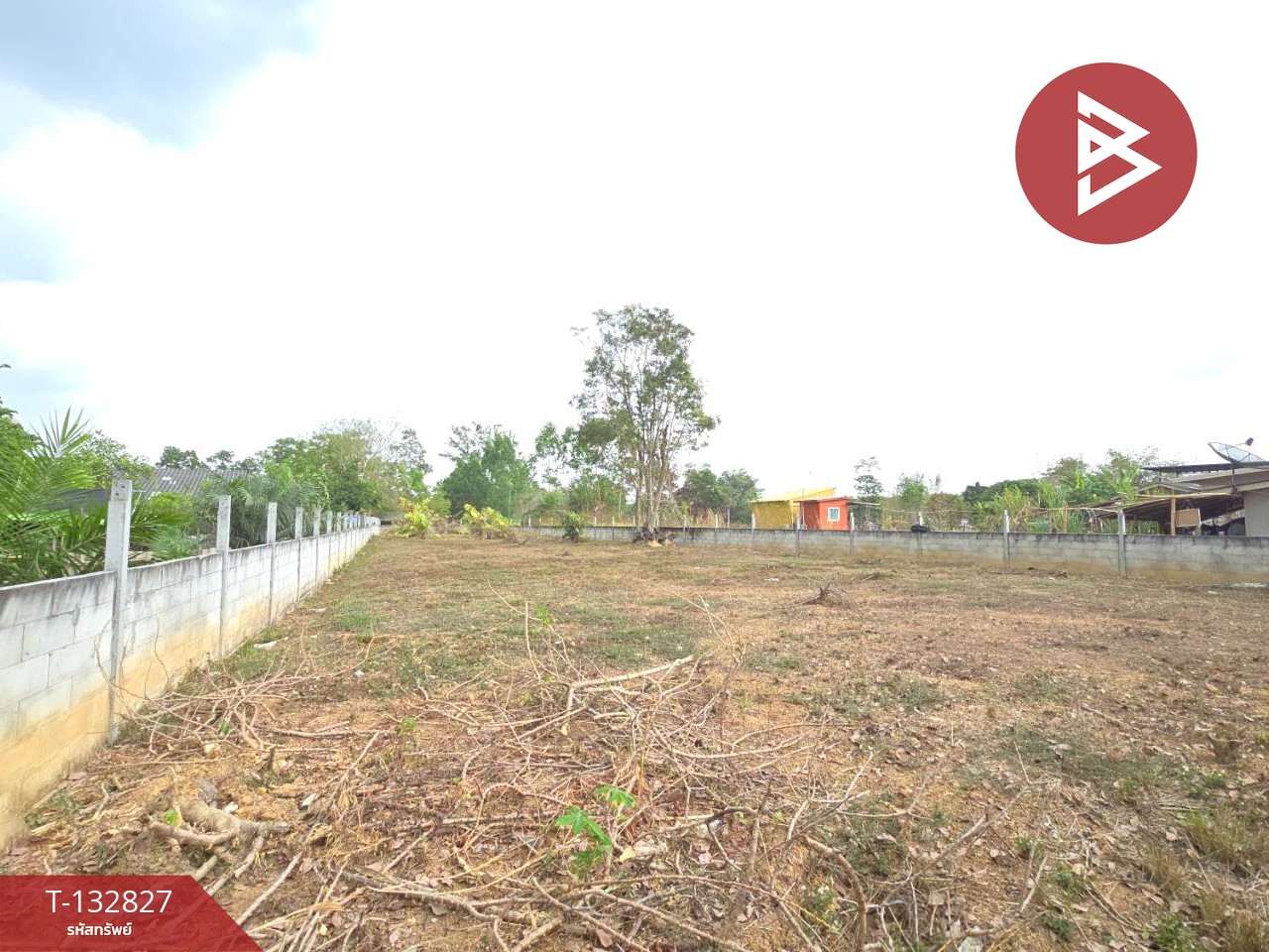 ขายที่ดิน เนื้อที่ 3 งาน หนองบัว บ้านค่าย ระยอง 7