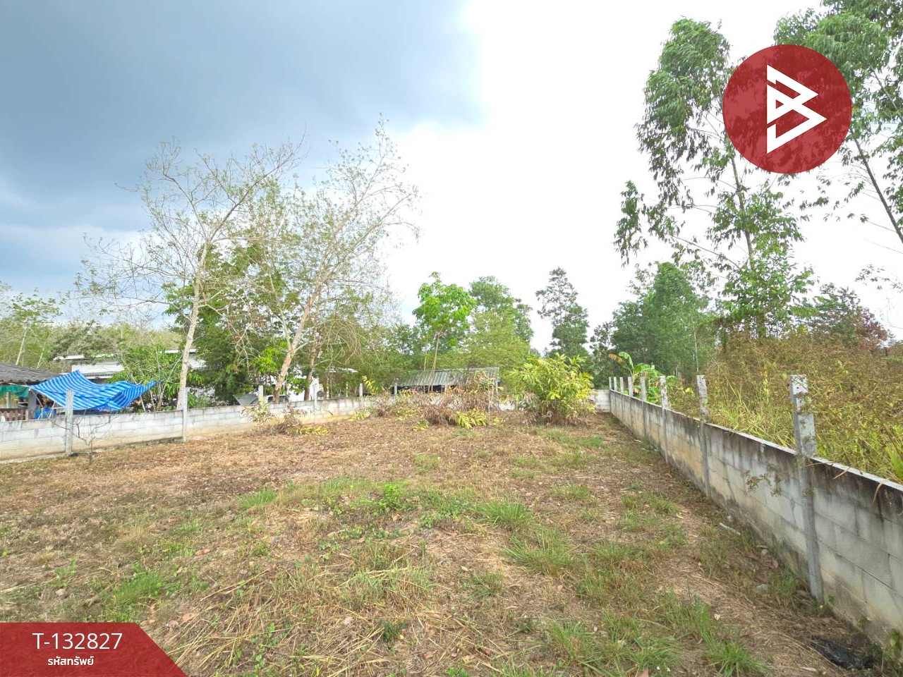 ขายที่ดิน เนื้อที่ 3 งาน หนองบัว บ้านค่าย ระยอง 9