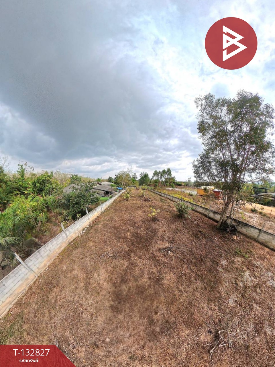 ขายที่ดิน เนื้อที่ 3 งาน หนองบัว บ้านค่าย ระยอง 5