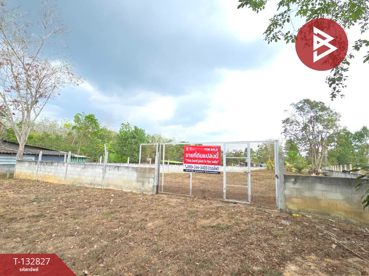 ขายที่ดิน เนื้อที่ 3 งาน หนองบัว บ้านค่าย ระยอง 2