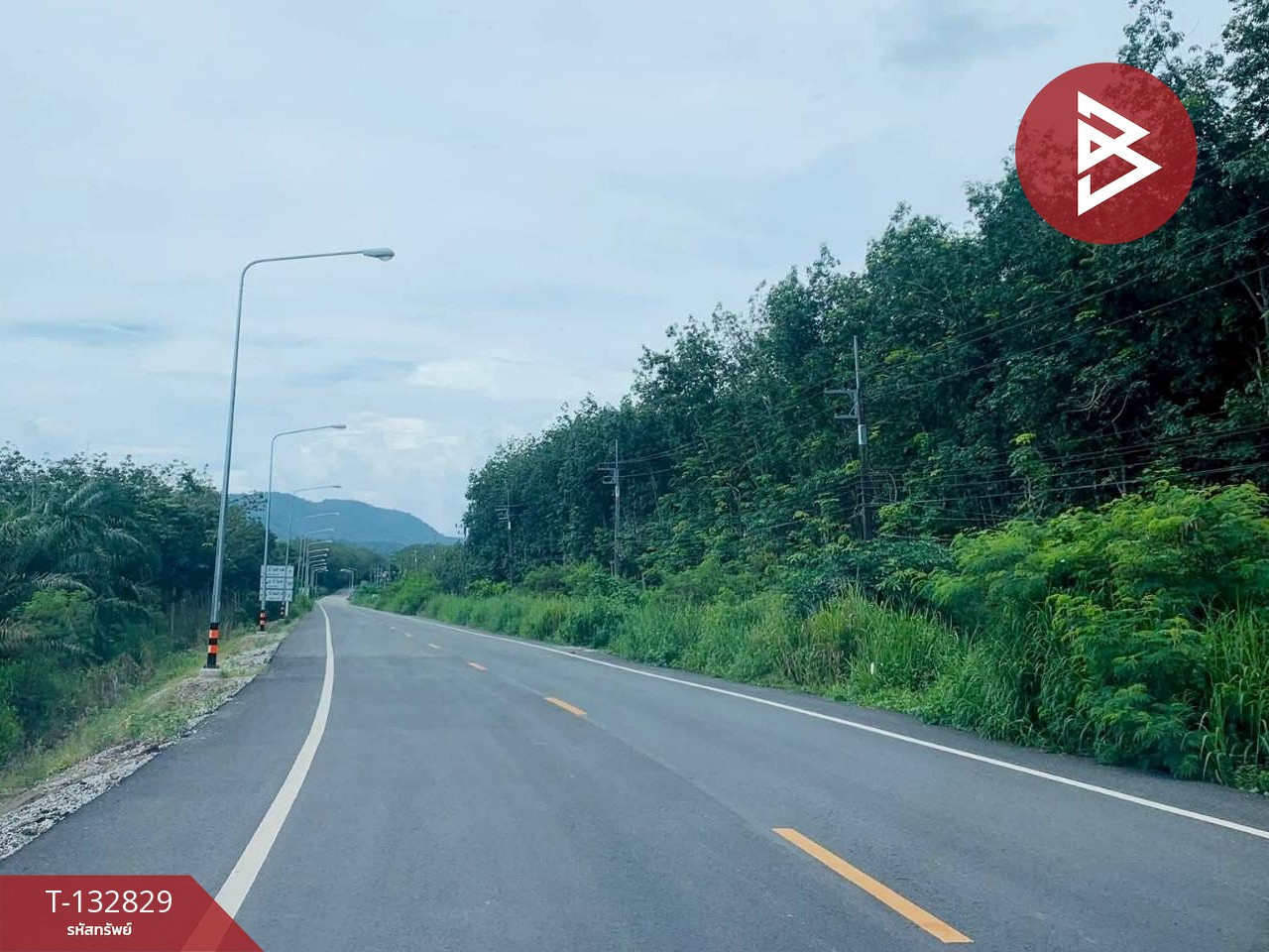 ขายที่ดิน เนื้อที่ 9 ไร่ 42 ตร.วา วังจันทร์ ระยอง 13