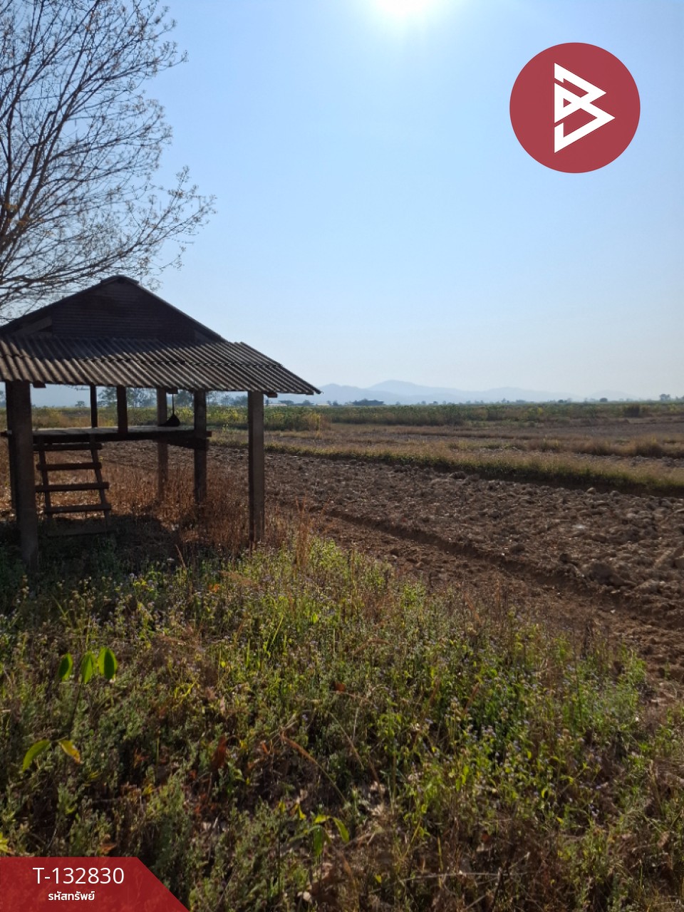 ขายที่ดิน เนื้อที่ 7 ไร่ 3 งาน 91 ตร.วา เทิง เชียงราย 5