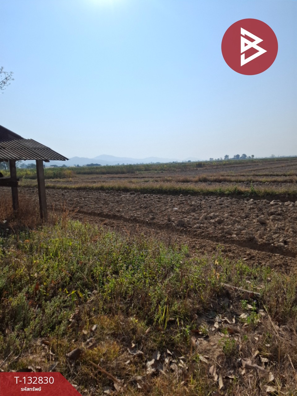 ขายที่ดิน เนื้อที่ 7 ไร่ 3 งาน 91 ตร.วา เทิง เชียงราย 2