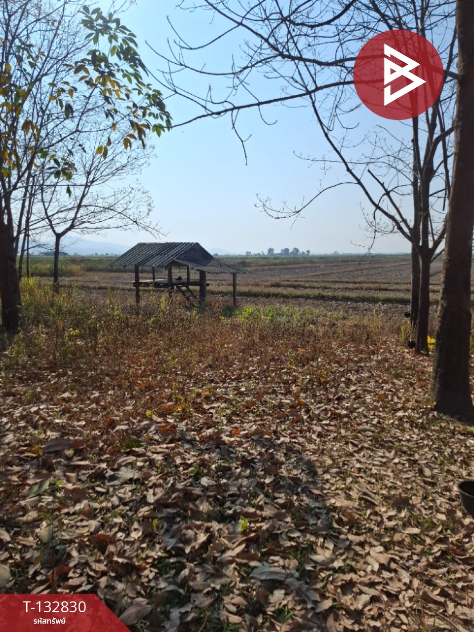 ขายที่ดิน เนื้อที่ 7 ไร่ 3 งาน 91 ตร.วา เทิง เชียงราย 4