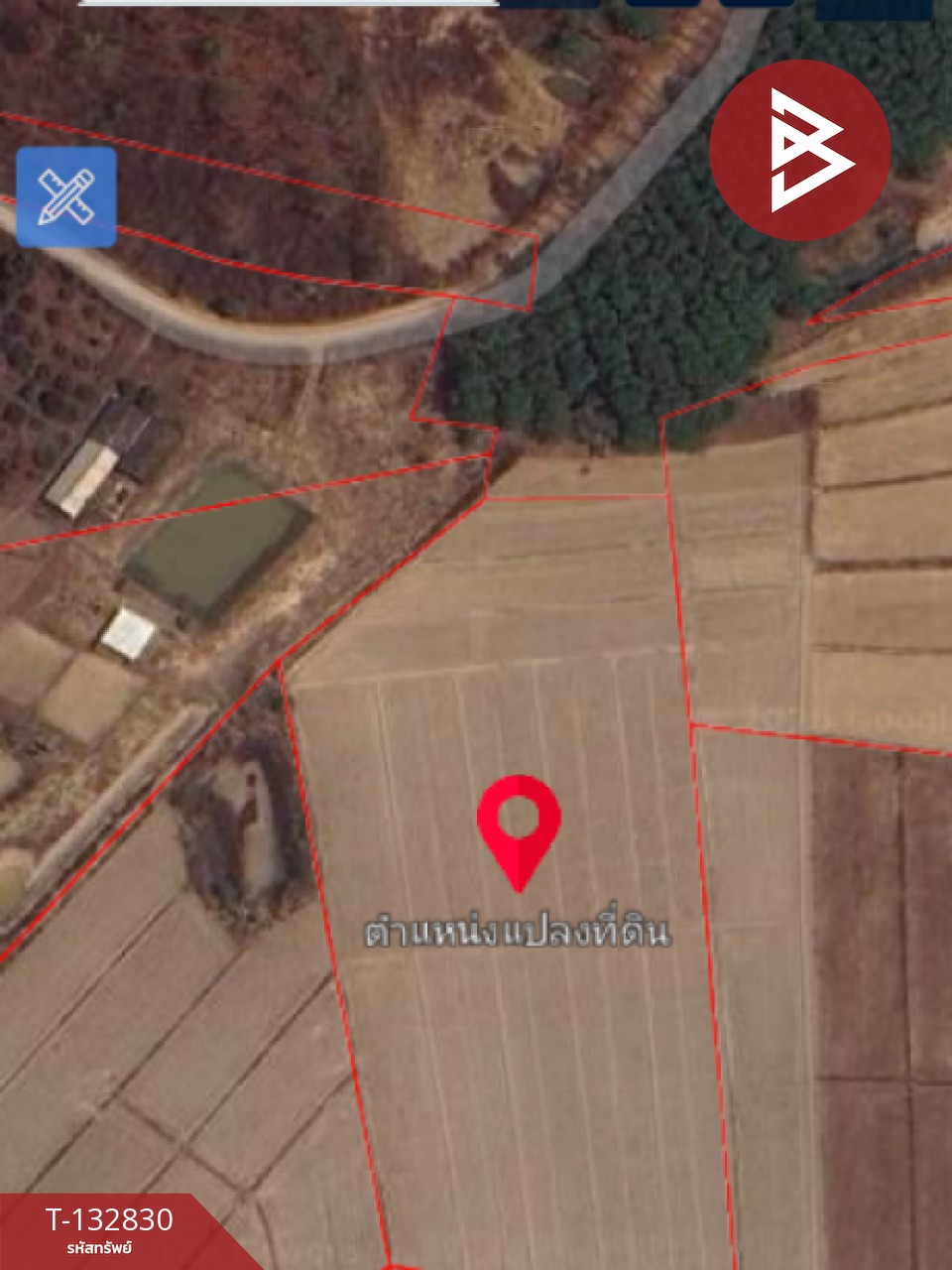 ขายที่ดิน เนื้อที่ 7 ไร่ 3 งาน 91 ตร.วา เทิง เชียงราย 14