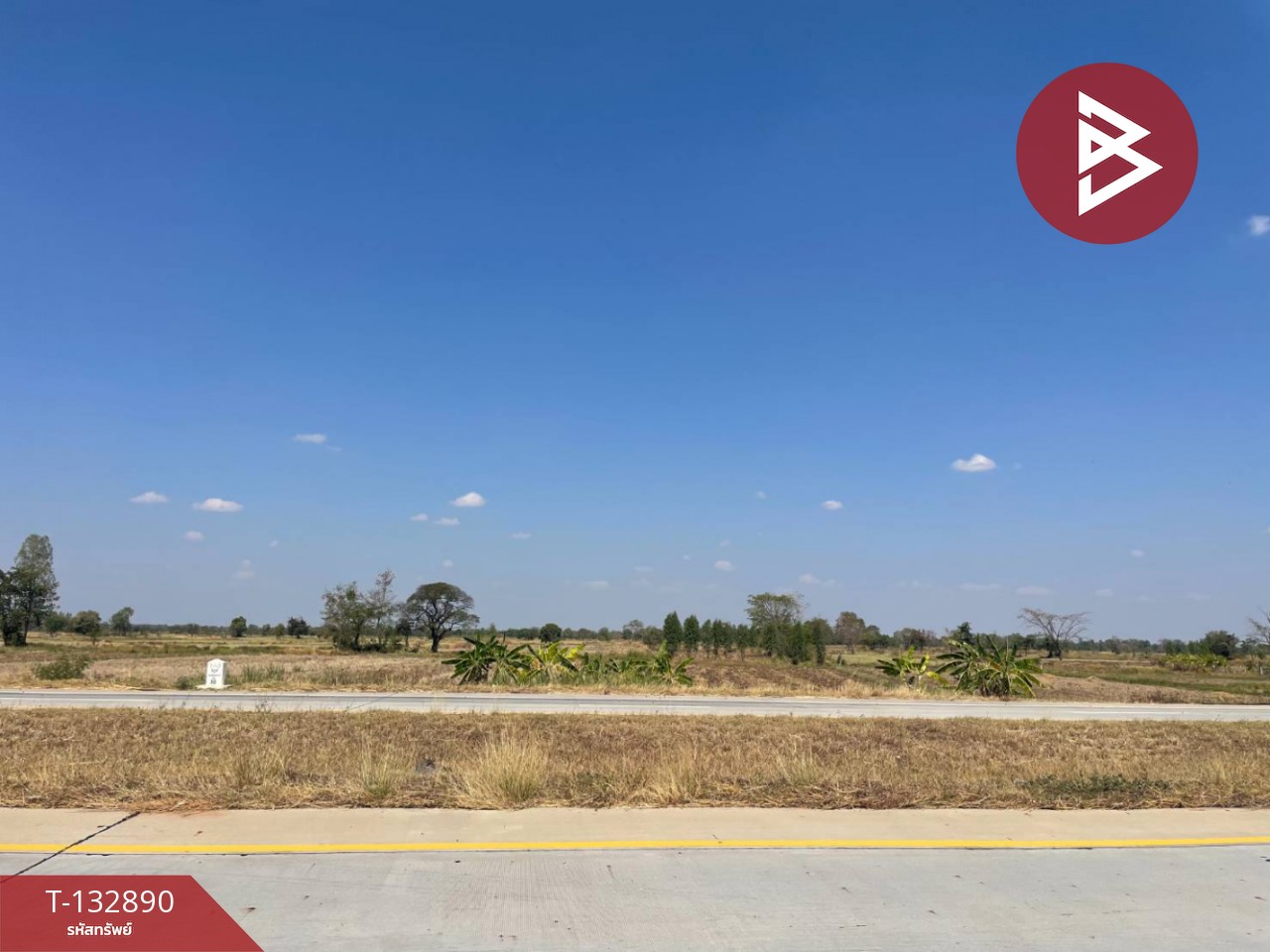 ขายด่วนที่ดินเปล่า เนื้อที่ 2 ไร่ 3 งาน 83.6 ตารางวา โคกสูง นครราชสีมา 1