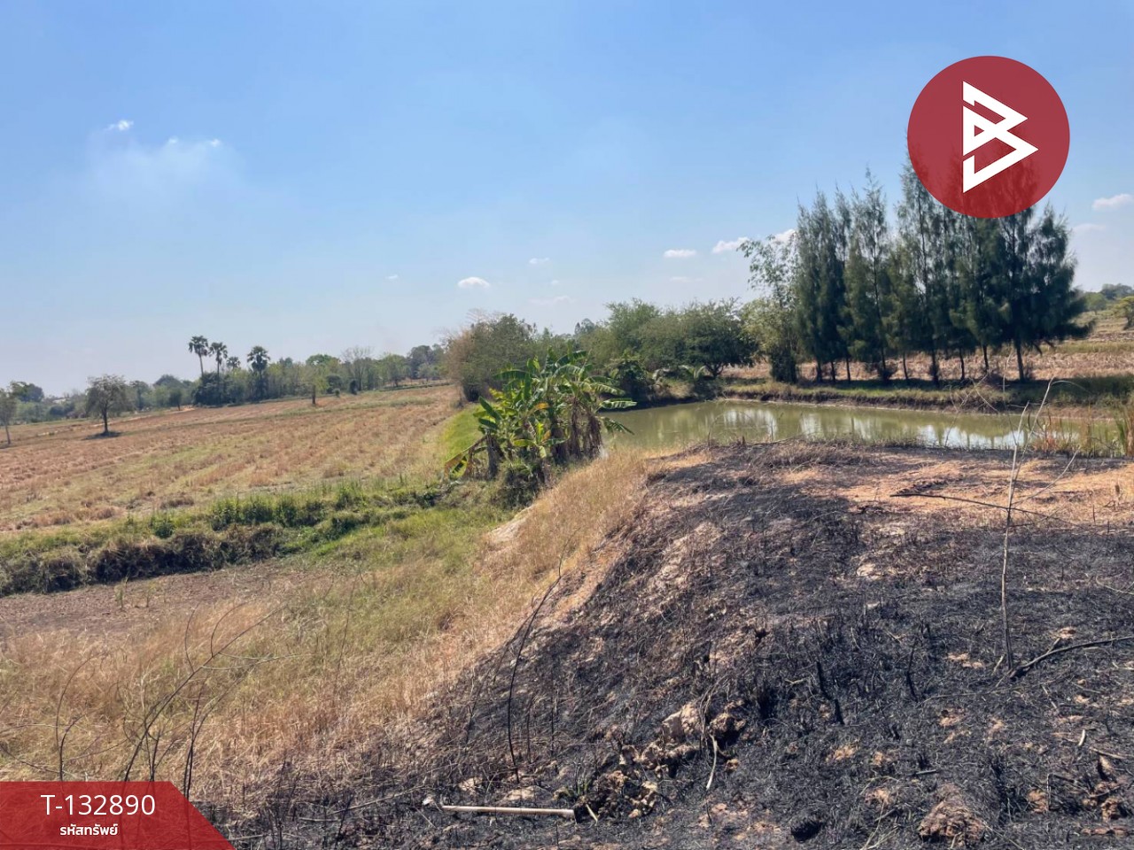 ขายด่วนที่ดินเปล่า เนื้อที่ 2 ไร่ 3 งาน 83.6 ตารางวา โคกสูง นครราชสีมา 2