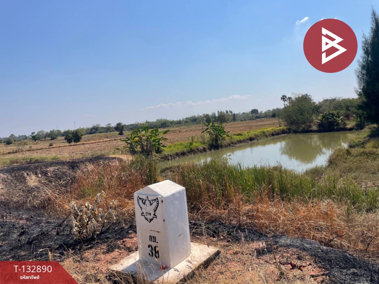 ขายด่วนที่ดินเปล่า เนื้อที่ 2 ไร่ 3 งาน 83.6 ตารางวา โคกสูง นครราชสีมา 5