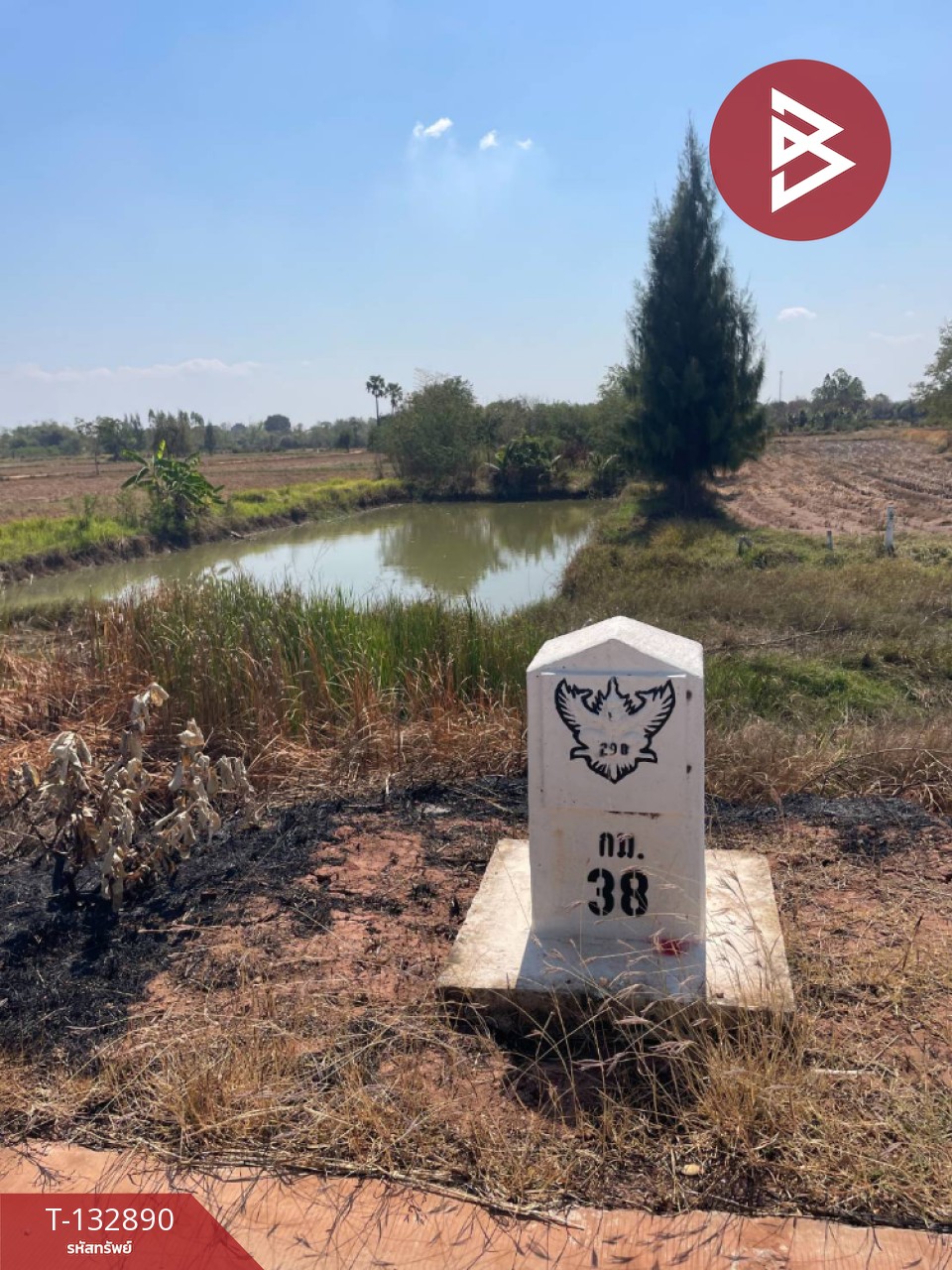 ขายด่วนที่ดินเปล่า เนื้อที่ 2 ไร่ 3 งาน 83.6 ตารางวา โคกสูง นครราชสีมา 4