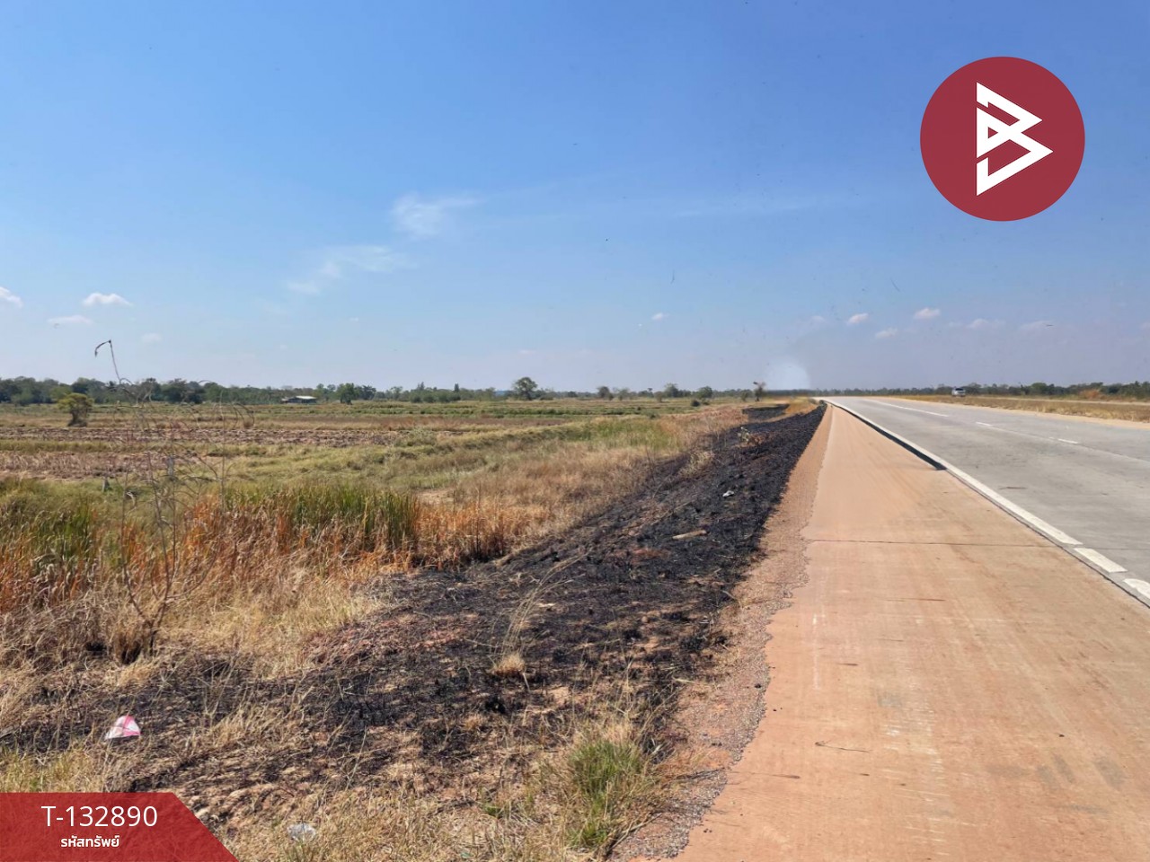 ขายด่วนที่ดินเปล่า เนื้อที่ 2 ไร่ 3 งาน 83.6 ตารางวา โคกสูง นครราชสีมา 3