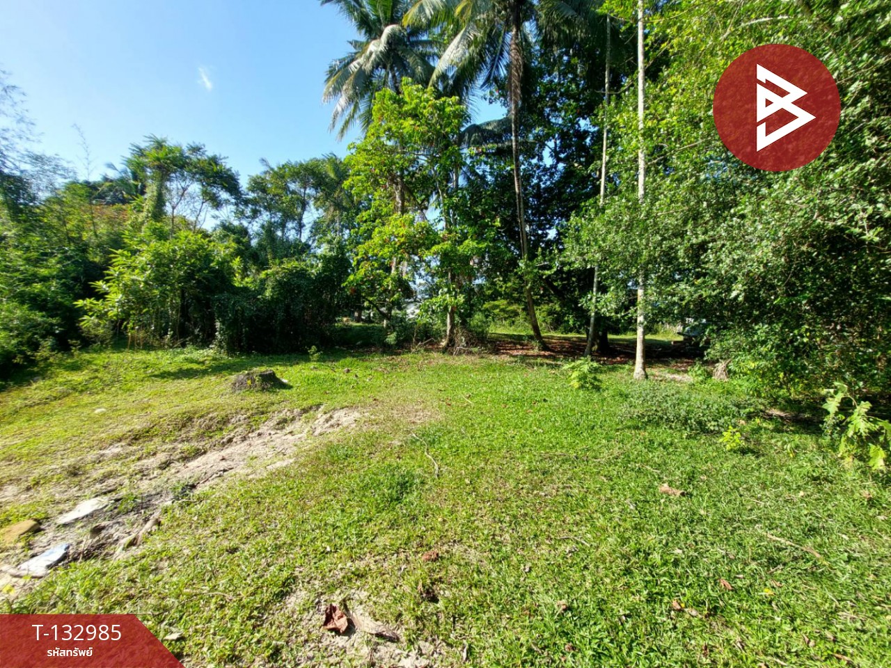 ขายที่ดิน เนื้อที่ 81 ตร.วา โพธิ์เสด็จ นครศรีธรรมราช 2