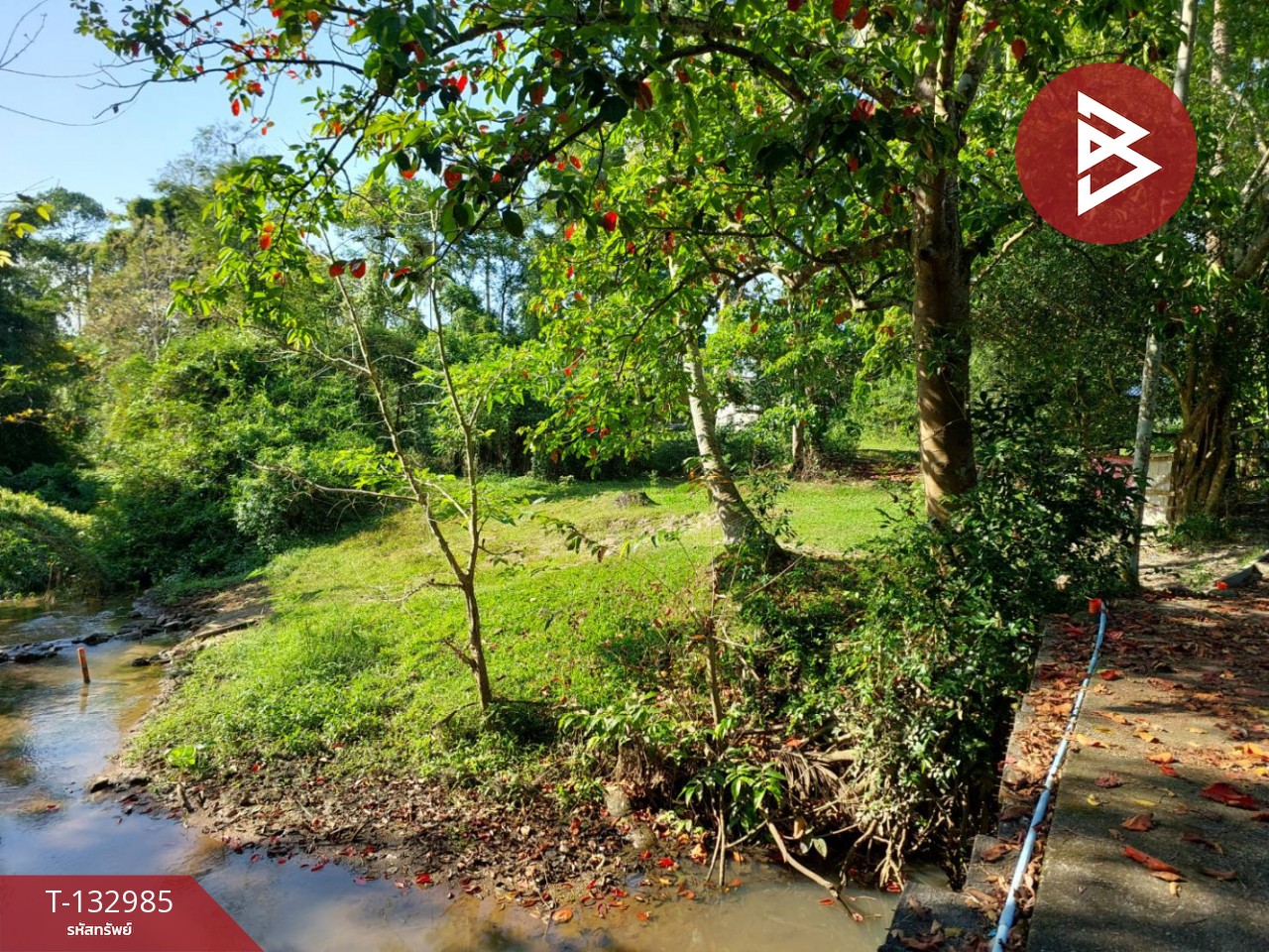 ขายที่ดิน เนื้อที่ 81 ตร.วา โพธิ์เสด็จ นครศรีธรรมราช 4