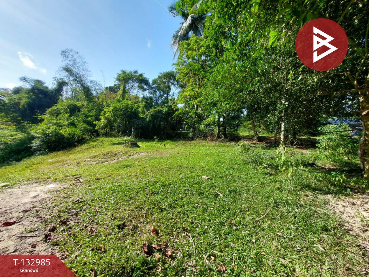 ขายที่ดิน เนื้อที่ 81 ตร.วา โพธิ์เสด็จ นครศรีธรรมราช 1