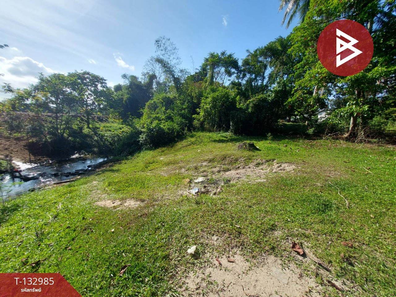 ขายที่ดิน เนื้อที่ 81 ตร.วา โพธิ์เสด็จ นครศรีธรรมราช 3