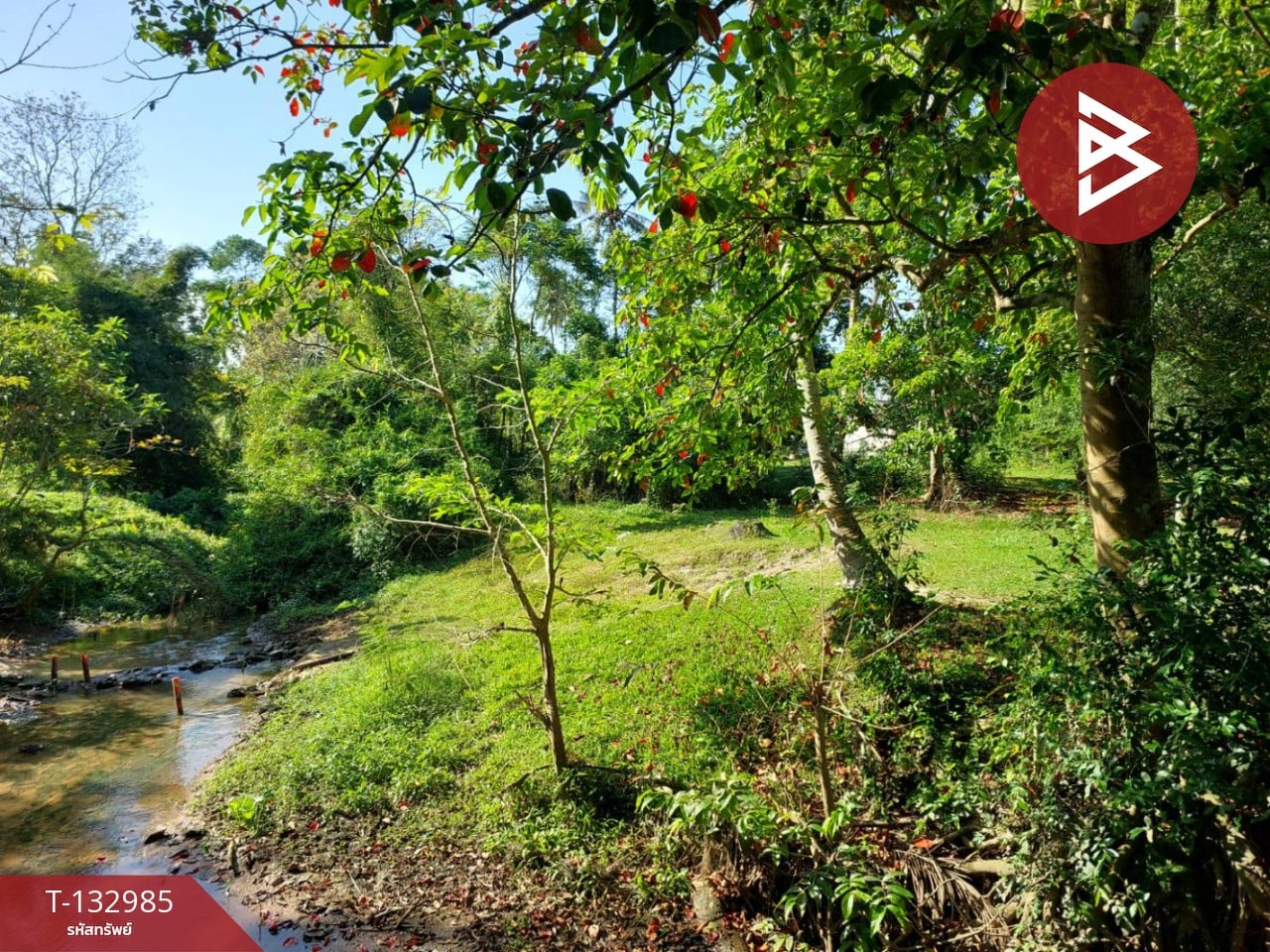 ขายที่ดิน เนื้อที่ 81 ตร.วา โพธิ์เสด็จ นครศรีธรรมราช 5