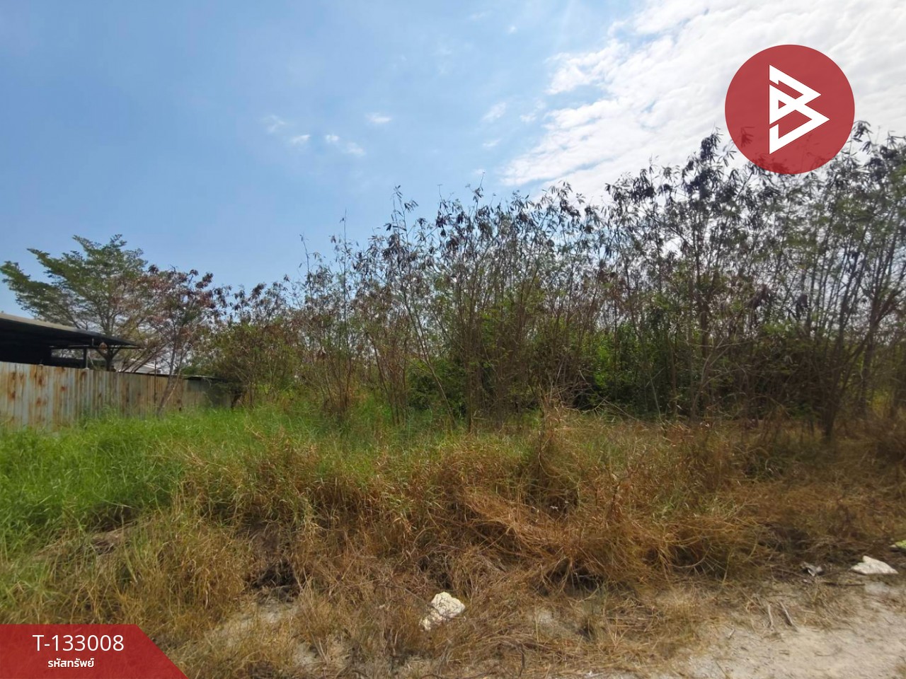 ขายที่ดิน เนื้อที่ 2 งาน บางปะกง ฉะเชิงเทรา 4