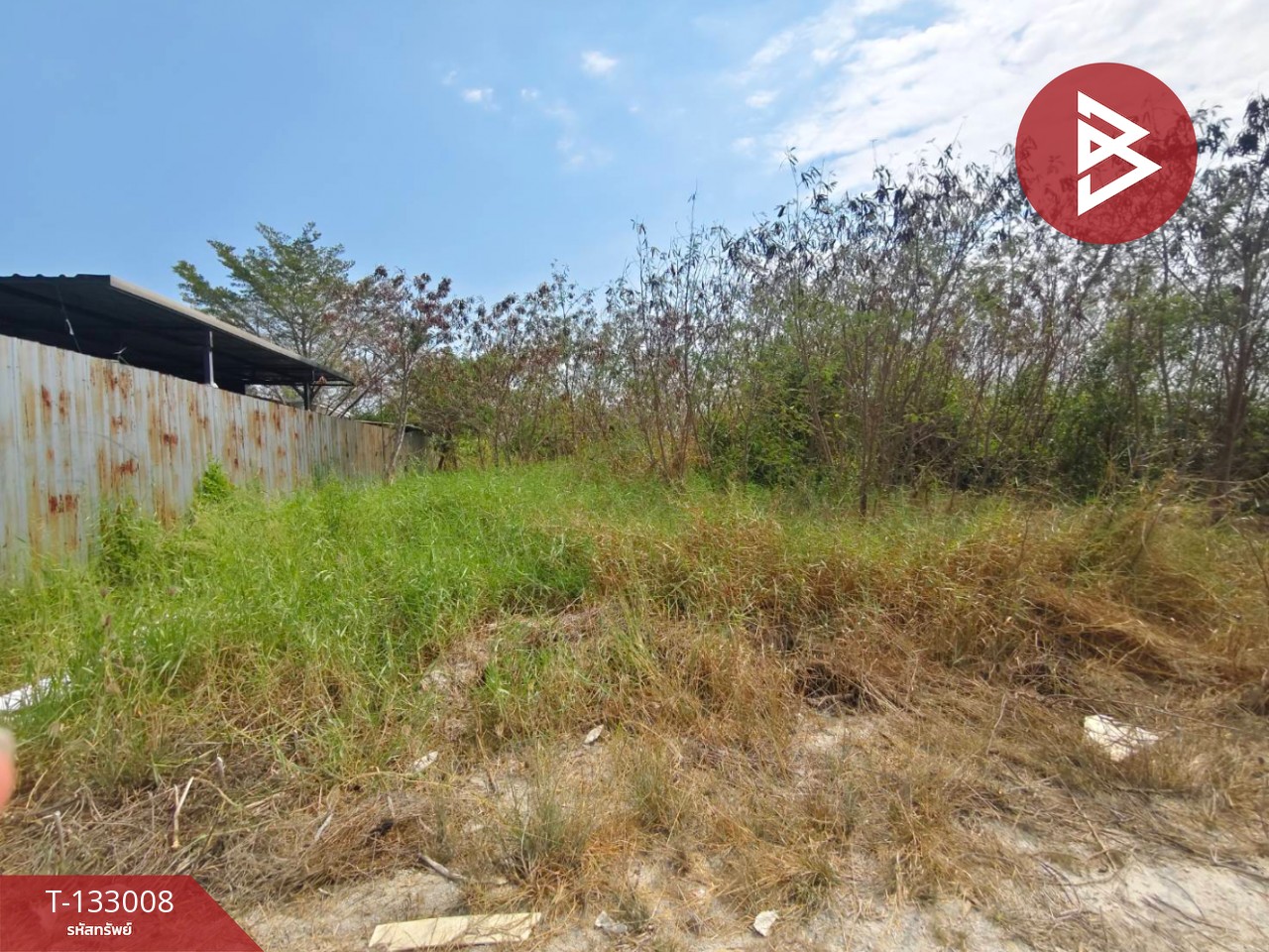 ขายที่ดิน เนื้อที่ 2 งาน บางปะกง ฉะเชิงเทรา 3