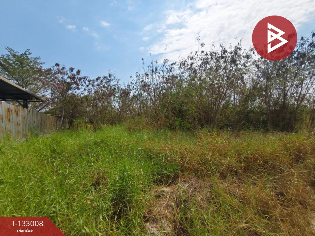 ขายที่ดิน เนื้อที่ 2 งาน บางปะกง ฉะเชิงเทรา 2