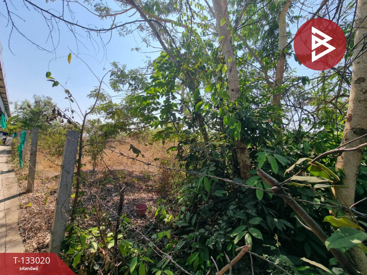 ขายที่ดินสวย เนื้อที่ 190 ตารางวา ต.ไตรตรึงษ์ กำแพงเพชร บรรยากาศดี อยู่ในแหล่งชุมชน 5