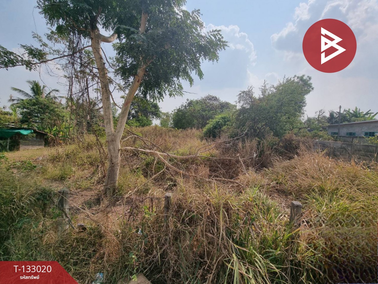 ขายที่ดินสวย เนื้อที่ 190 ตารางวา ต.ไตรตรึงษ์ กำแพงเพชร บรรยากาศดี อยู่ในแหล่งชุมชน 3